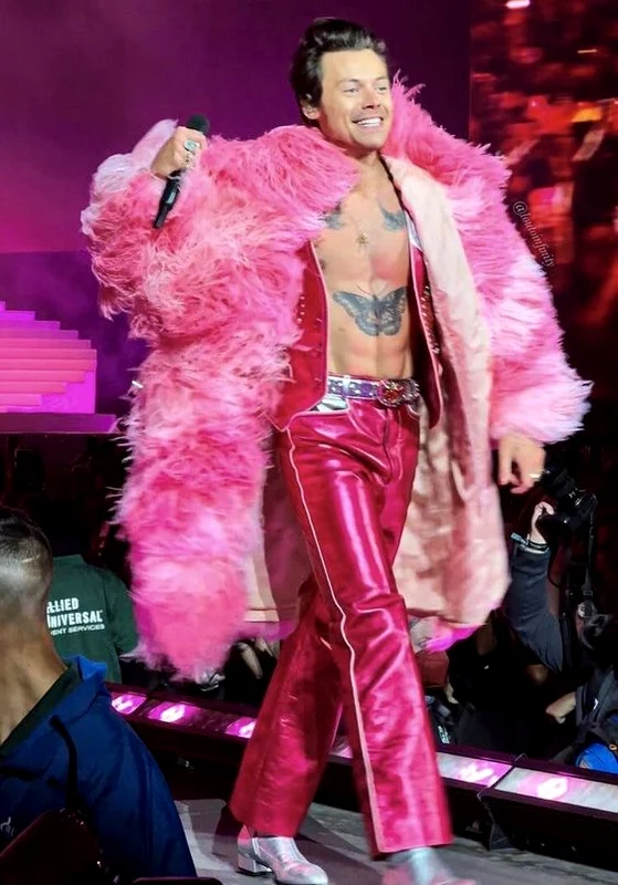 Harry Styles  jpeg