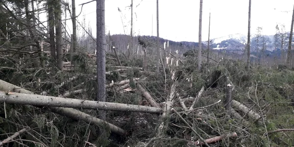 viscol prahova foto amator