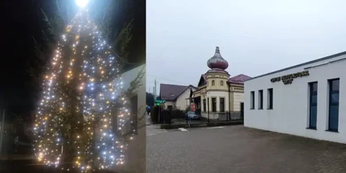 brad disparut in itcani, suceavafoto monitorul de suceava png