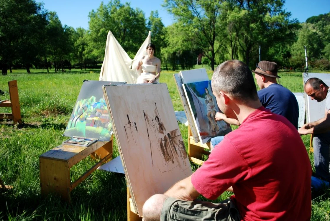 Artiştii băimăreni au ieşit la plein air FOTO: Adevărul