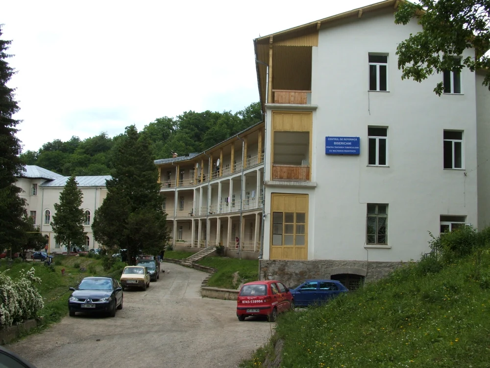 Spitalul este situat în imediata apropiere a pădurii FOTO Dan Sofronia