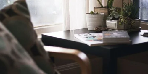 Plantele care te ajută să dormi mai bine. Tu le ai?