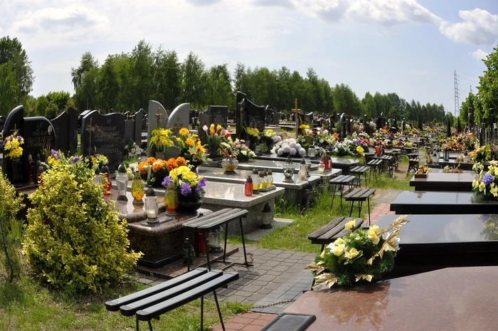 Primăria Arad interzice coroanele de flori în cimitire / FOTO: Pixabay