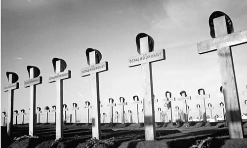 Jertfele armatei române în Campania din Vest: Asediul Budapestei (1944 1945) jpeg