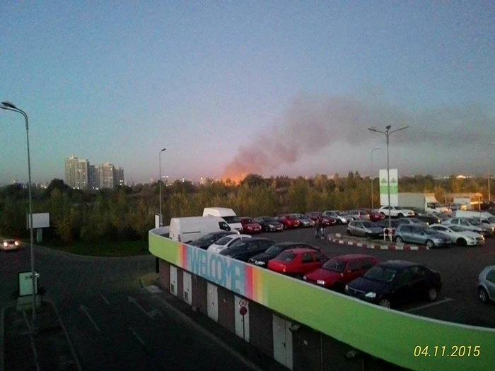 Imagini cu incendiul din Parcul Natural Văcăreşti