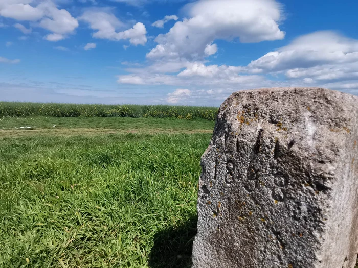 Borna de pe deal FOTO Ștefan Both