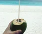 Rita Muresan Maldive 2018 (1) jpeg