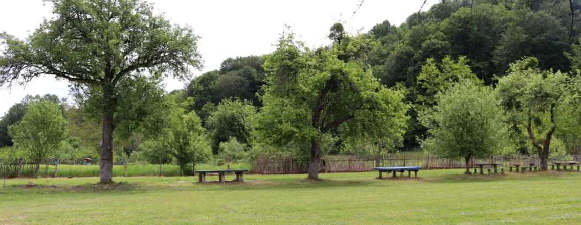 Camping Groşi FOTO Daniel Groza
