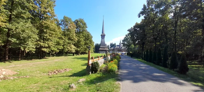 O imagine care conţine arbore, iarbă, exterior, plantăDescriere generată automat