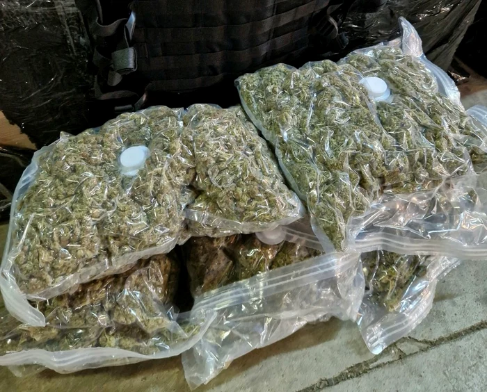 Drogurile confiscate de polițiști FOTO BCCO Alba Iulia