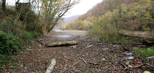 lacul cincis la izvoare