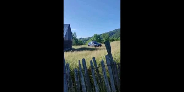 Atacul urşilor, de-o parte şi de alta a Carpaţilor Meridionali, în Ţara Loviştei şi la poalele Parcului Naţional Cozia; Colaj