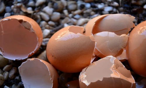 1 78190 original jpg jpeg