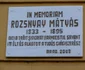Farmacistul Rozsnyay Matyas (1) jpg
