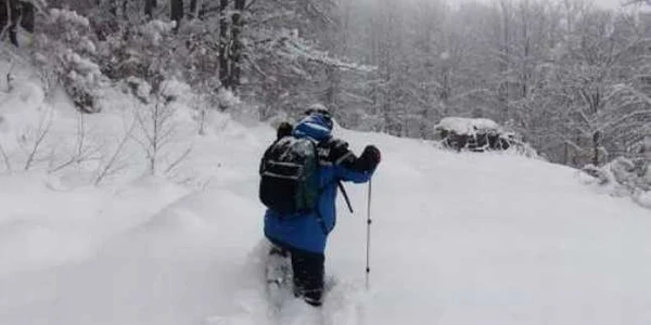 Căutările jandarmilor au fost îngreunate de stratul gros de zăpadă