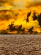 image png