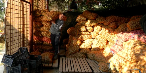 Cartofii se vând cu 60 sau 80 de lei pe kilogram (foto: Raluca Nicula)