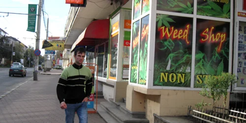 În weed-shop, comercianţii spun că vând plante pentru studii botanice şi colecţii