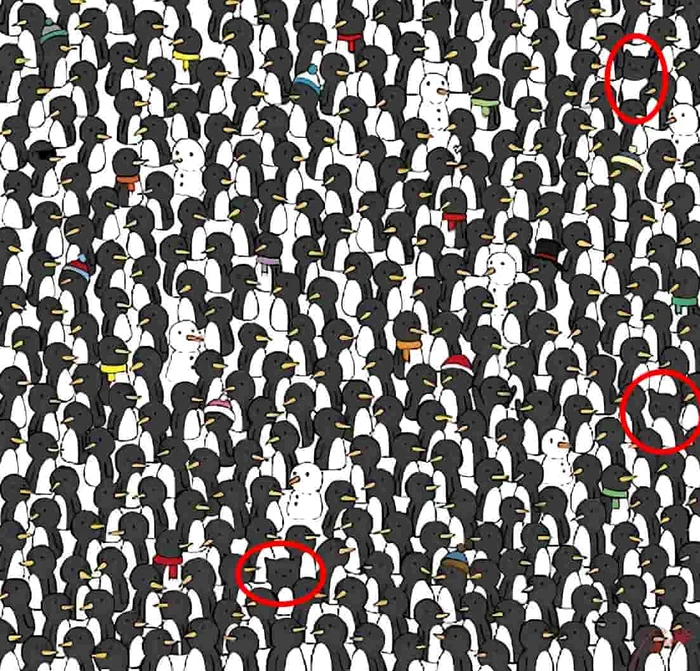 Rezolvarea iluziei optice / foto: Dudolf