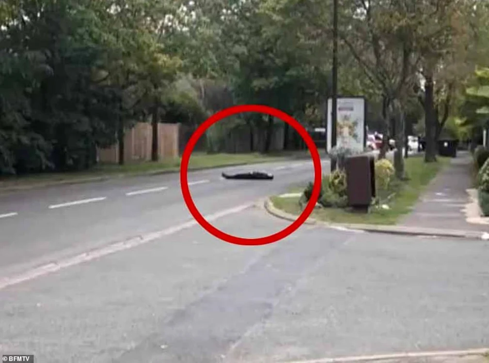 Imagine cu victima postată online, FOTO Daily Mail