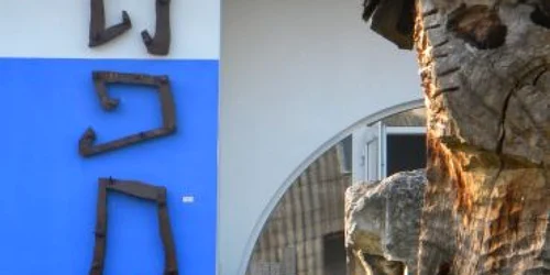 Bistriţa: Patrimoniul rural românesc, subiect de congres în Spania