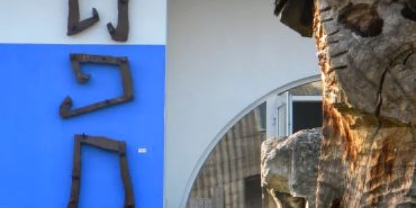 Bistriţa: Patrimoniul rural românesc, subiect de congres în Spania