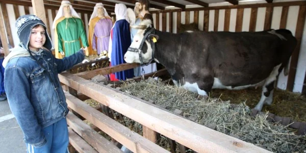 Lui Florin îi plac animalele, dar se teme să le mângâie