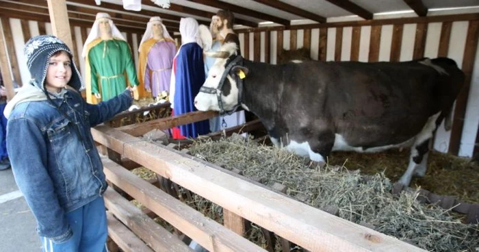 Lui Florin îi plac animalele, dar se teme să le mângâie