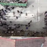 GGG1 gif