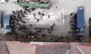 GGG1 gif