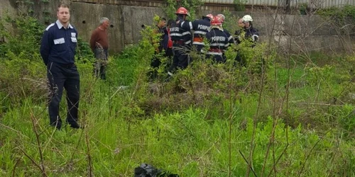 pompieri interventie caine FOTO ISU Sibiu