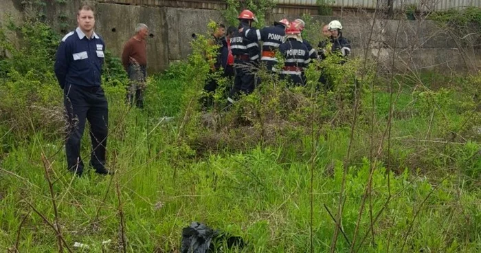 Căţelul metis a căzut într-un canal al cărui capac lipsea FOTO ISU Sibiu