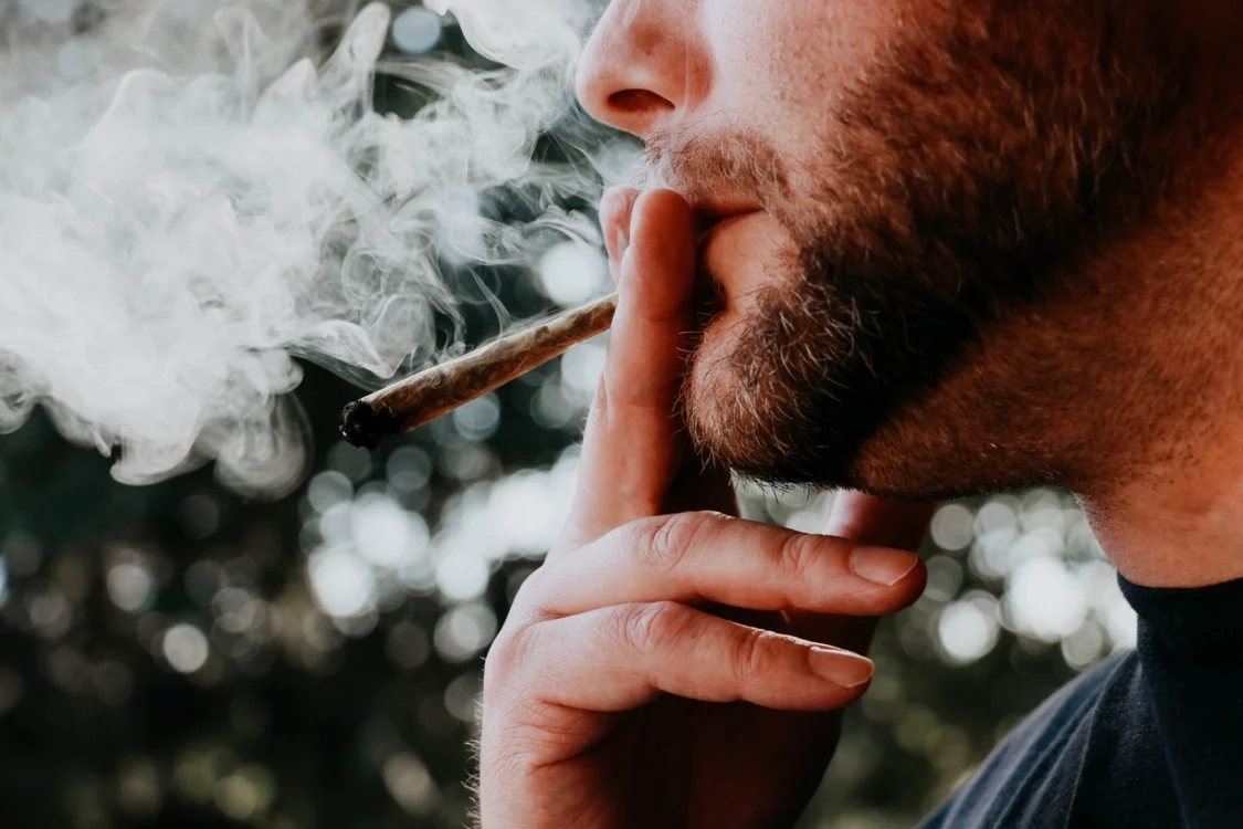 Tigari canabis. FOTO unsplash