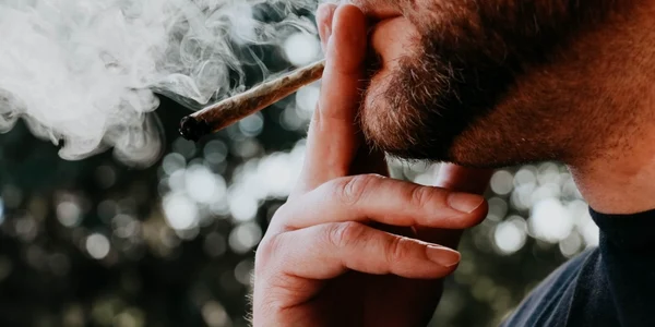 tigari cannabis unsplash