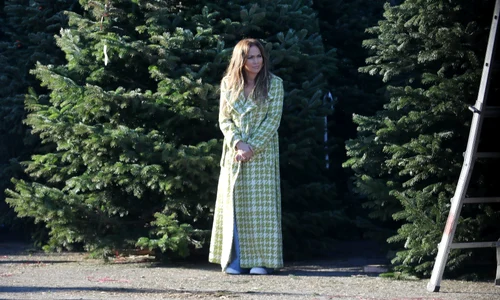 Bennifer în căutarea bradului perfect, Profimedia (5) jpg