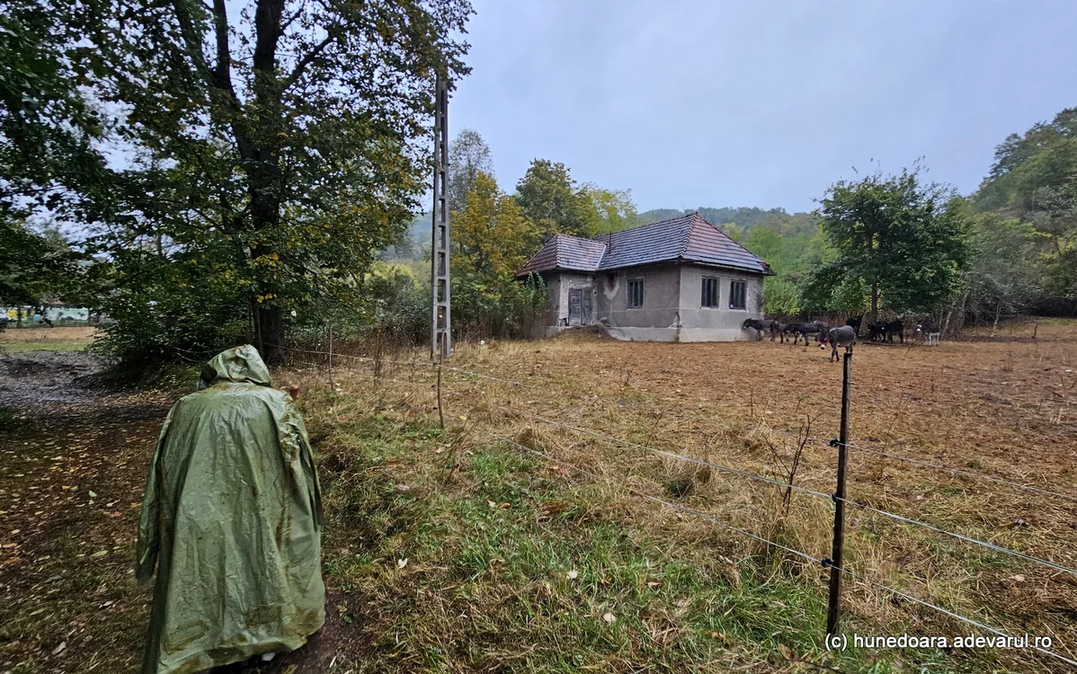 Școala din Gialacuta, stână pentru măgari. Foto: Daniel Guță