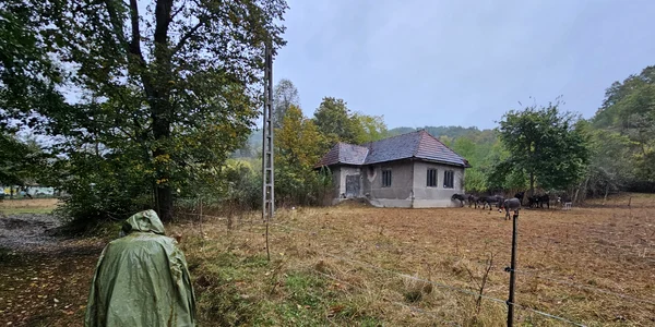 Satul Gialacuta din Hunedoara  Foto Daniel Guță (19) JPG