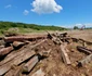 Terenul viran pe care va fi construita fabrica Foto Daniel Guță (9) jpg