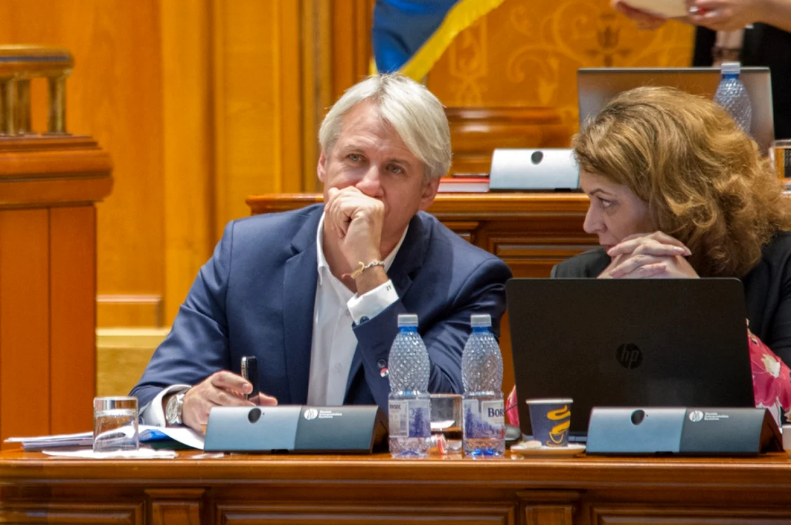 teodorovici daniela pescaru