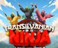 Tocmai ce au terminat filmările pentru Transilvanian Ninja, o producție care se anunță a fi de zile mari și care va ajunge pe 6 decembrie în cinematografe