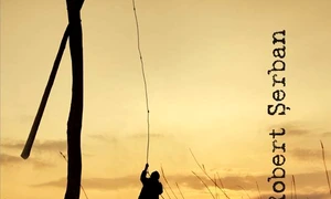 Ce se poate şi ce nu jpeg