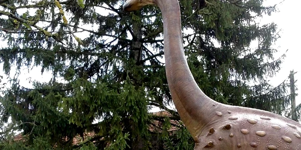 dino