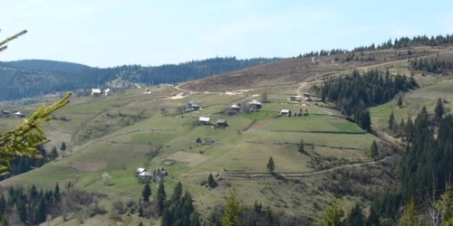 Păduri defrişate Alba