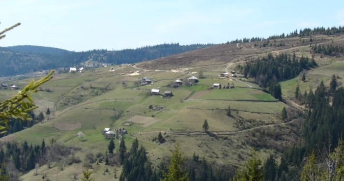 Păduri defrişate Alba