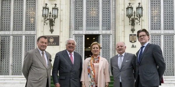 Delegatie oficiala