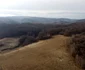 Codrii seculari din Bătrâna  Foto Daniel Guță  ADEVĂRUL (3) JPG