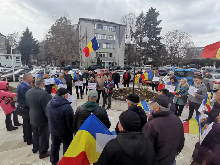 Apicultorii spun că nu beneficiază de niciun fel de sprijin FOTO: A. Mitran