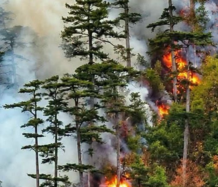 Un parc național din România arde de o lună și jumătate. Două elicoptere din rezerva rescEU intră de marți în acțiune