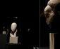 Expoziția Brâncuși de la Timișoara FOTO Ștefan Both