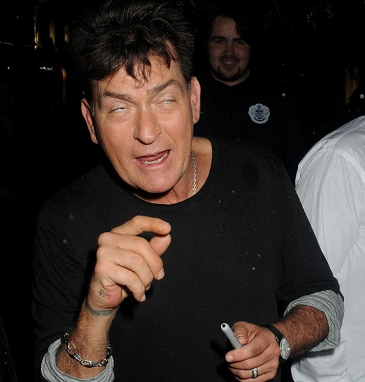 Charlie Sheen ”s-a vindecat” de viciile salefoto: arhivă